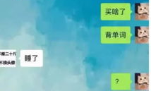 本地怎么叫小姐姐聊天,一场别具一格的聊天体验